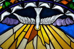 Sermon: June 9, 2019